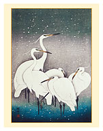 Group of Egrets - c. 1925 - Fine Art Prints & Posters