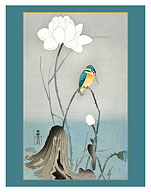 Kingfisher with Lotus Flower - c. 1900 - Fine Art Prints & Posters