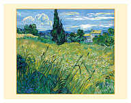 Green Wheat Field with Cypress Tree - c. 1889 - Fine Art Prints & Posters