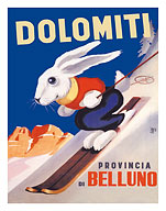 Cortina d’Ampezzo Ski Resort - Dolomites (Dolomiti) Italy - Fine Art Prints & Posters