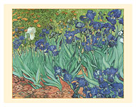 Irises - c. 1889 - Giclée Art Prints & Posters