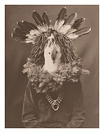 Navajo House God (Haschogan) - The Yebichai Hunchback - c. 1904 - Giclée Art Prints & Posters