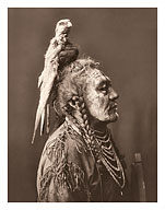 Two Whistles - Apsaroke Man in Medicine Hawk Headdress - North American Indian - c. 1908 - Fine Art Prints & Posters