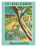 Australia - Fly by BOAC (British Overseas Airways Corporation) & Qantas Empire Airways (QEA) - c. 1950's - Fine Art Prints & Posters