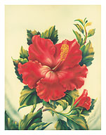Red Hibiscus, Hawaiian Tropical Flower - Fine Art Prints & Posters