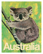 Australia - Koala Bear In Tree - c. 1969 - Fine Art Prints & Posters