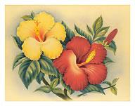 Hawaiian Hibiscus - Fine Art Prints & Posters