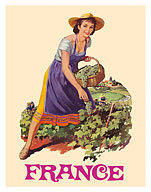 France - Wine Vineyard - c. 1960's - Fine Art Prints & Posters