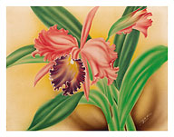 Pink Cattleya Orchid - Fine Art Prints & Posters
