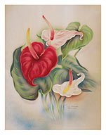 Red and White Anthuriums Hawaii - Fine Art Prints & Posters
