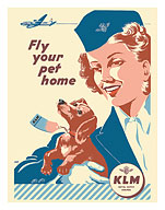 Fly Your Pet Home - KLM Royal Dutch Airlines - c. 1953 - Fine Art Prints & Posters