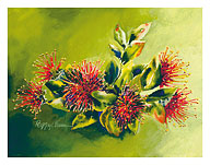 Koke'e Ohia - Native Hawaiian Ohia Lehua Tree Blossom - Fine Art Prints & Posters