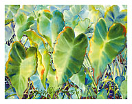 Na Kalo (Taro) - Native Hawaii Taro Leaf Plant - Taro Patch (Lo'i) - Fine Art Prints & Posters