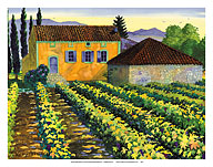 Maison Merlot - Tuscany Italy - Italian Farm, Vineyards - Fine Art Prints & Posters