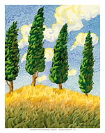 Touch the Sky - Tuscany Italy - Italian Cypress Trees - Fine Art Prints & Posters
