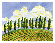 Cypress in the Clouds - Tuscany Italy - Italian Vineyards - Fine Art Prints & Posters