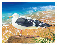 Tidewater Trio - Seagulls - Fine Art Prints & Posters