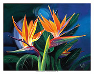 Birds of Feather - Hawaiian Birds of Paradise - Fine Art Prints & Posters
