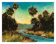 Southern Florida Everglades - Fine Art Prints & Posters