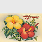 Hawaiian Hibiscus - Hawaii Magnet