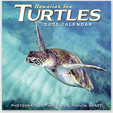 Hawaiian Sea Turtles - 2025 Deluxe Hawaiian Wall Calendar