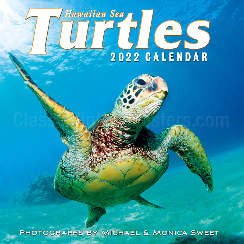 Hawaiian Sea Turtles 2022 Wall Calendar Photographs by Michael