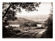 Hope Ranch, California - Laguna Blanca Lake, Santa Barbara - c. 1912 - Fine Art Black & White Carbon Prints