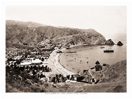 Avalon Harbor 1890 - Santa Catalina Island, California - Fine Art Black & White Carbon Prints