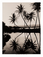 Pearl Harbor - Oahu, Hawaii - c. 1930's - Fine Art Black & White Carbon Prints