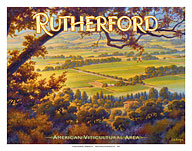 Rutherford Wineries - Napa Valley - Fine Art Prints & Posters