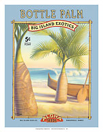 Bottle Palm - Aloha Seeds - Big Island Seed Company - Big Island Exotics - Giclée Art Prints & Posters