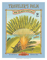 Traveler's Palm - Aloha Seeds - Big Island Seed Company - Big Island Exotics - Giclée Art Prints & Posters