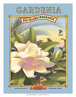 Gardenia - Aloha Seeds - Big Island Seed Company - Big Island Fragrance - Giclée Art Prints & Posters