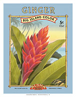 Ginger - Aloha Seeds - Big Island Seed Company - Big Island Color - Giclée Art Prints & Posters