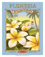 Plumeria - Aloha Seeds - Big Island Seed Company - Big Island Fragrance - Giclée Art Prints & Posters