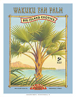 Wakuku Fan Palm - Aloha Seeds - Big Island Seed Company - Big Island Exotics - Fine Art Prints & Posters
