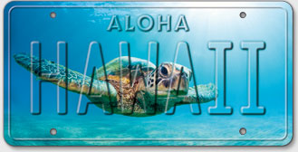 Honu Flare - Hawaiian Vintage License Plate